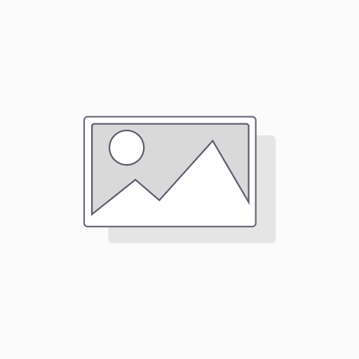 225/40R18 88Y BFGOODRICH ADVANTAGE 2